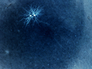 Shooting stars enlighten intrathalamic plasticity
